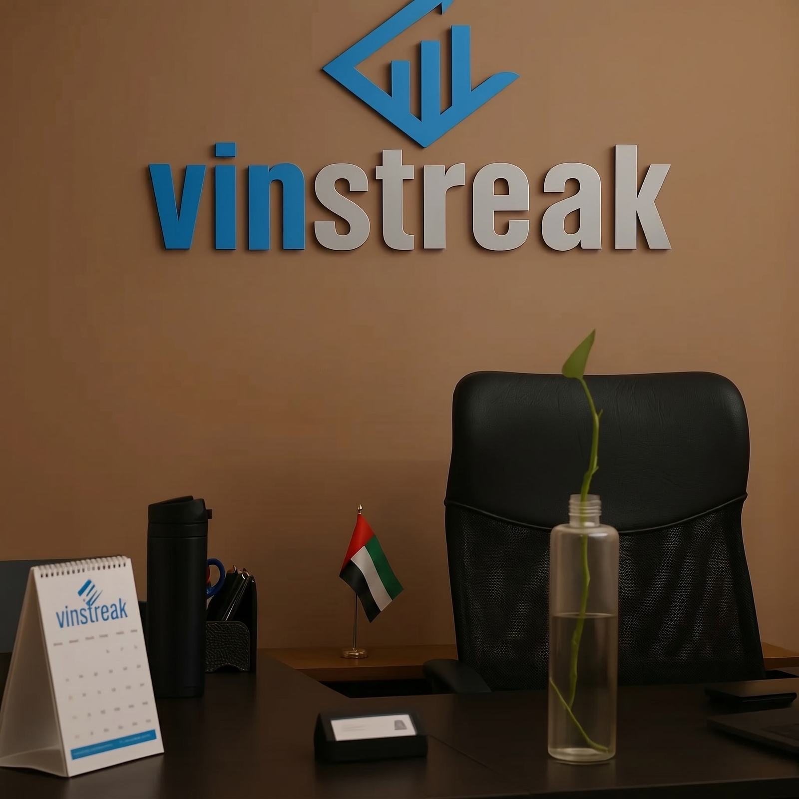 vinstreak home page